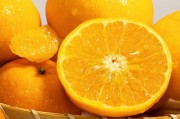 提高產量方法論：如何合理設置柑橘地塊空間布局？